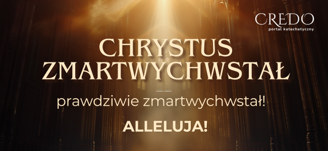 Razem budujemy portal Credo